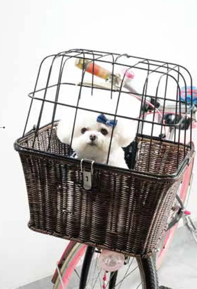 Wicker Basket with Wire Guard — view 2