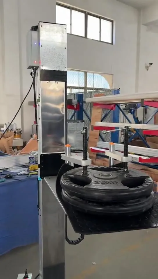 Load test — 50 kg of weight plates stacked on the platform deck